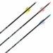 SKYLON Savage Compond Carbon | ready-to-shoot | 3 stuks