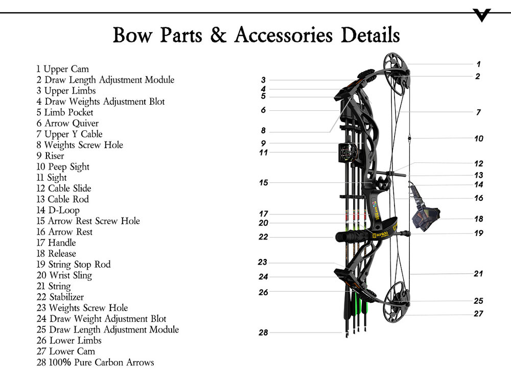Sanlida Dragon X9 | 10-70LBS | 310FPS | Pro Package 