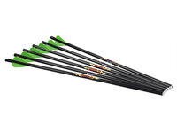 Excalibur Diablo | Carbon pijl  | 18 inch | 6-pak