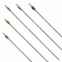 AVALON Tyro 4.2 Carbon | ready-to-shoot | 6 stuks