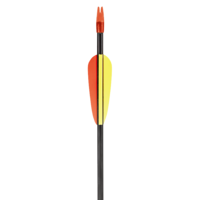 Glasfiber pijl Black Bow | 5 stuks