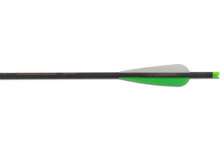 Maxionia Bolt| CARBON | 20 inch