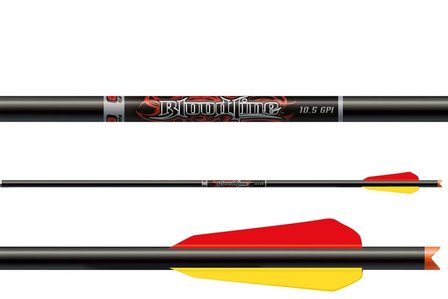 Easton Bloodline - carbon pijl | 20 of 22 inch | 6-Pak