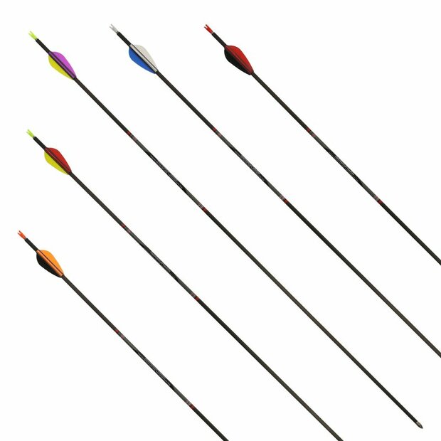 AVALON Tyro 4.2 Carbon | ready-to-shoot | 6 stuks