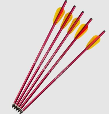 Ek Archery kruisboogpijl | aluminium | 16 inch | 2018 | per 5